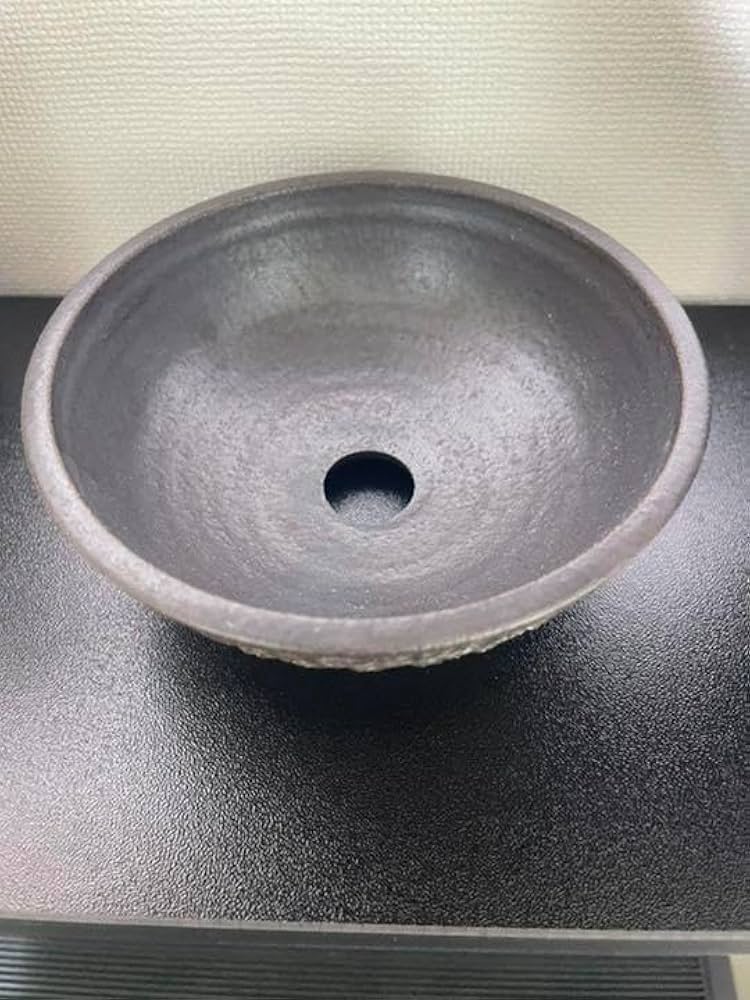 BOTANIZE別注 goujin 野村豪人 陶器鉢グラキリス